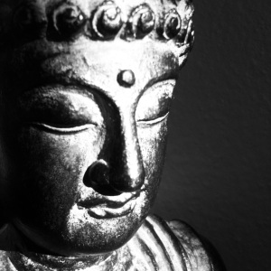 BUddha in the morning (c) Holly Troy 2013